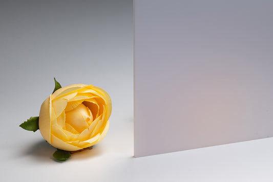 ECD3031UU（乳白色/フラット/住友ベークライト）