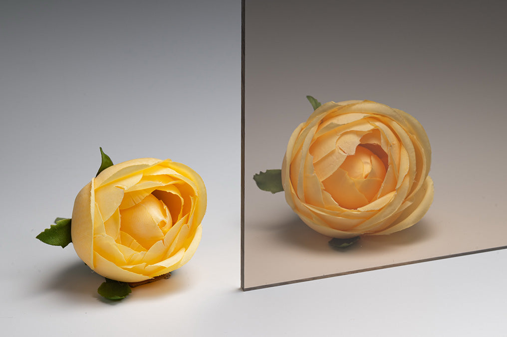 EXELL-D5109（ブラウン/フラット/POLYVANTIS）