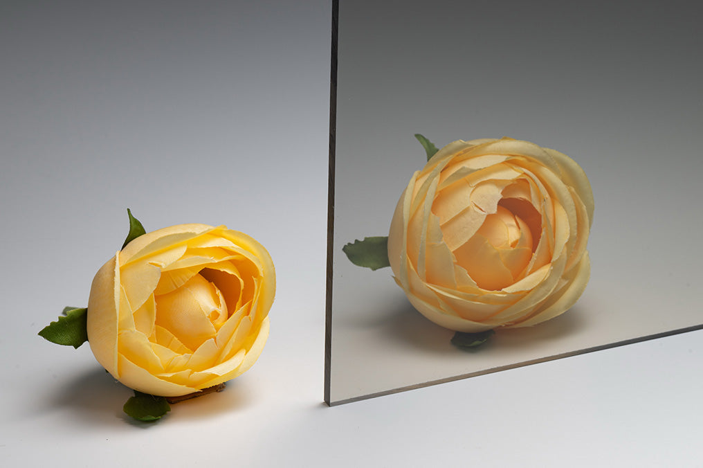 EXELL-D713（グレー/フラット/POLYVANTIS）